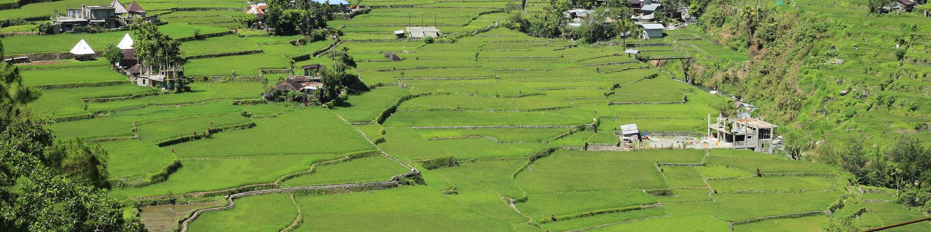 Terraced rice fields, a valley, and scattered houses.