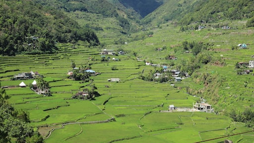 Terraced rice fields, a valley, and scattered houses.