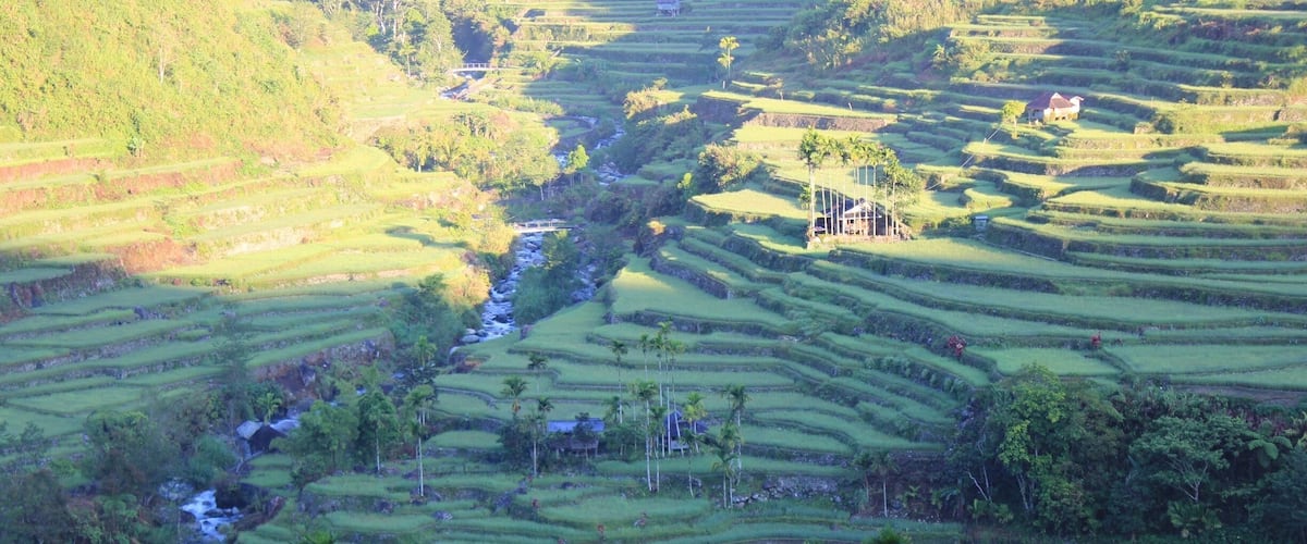 The rice terraces of Hungduan, IFUGAO