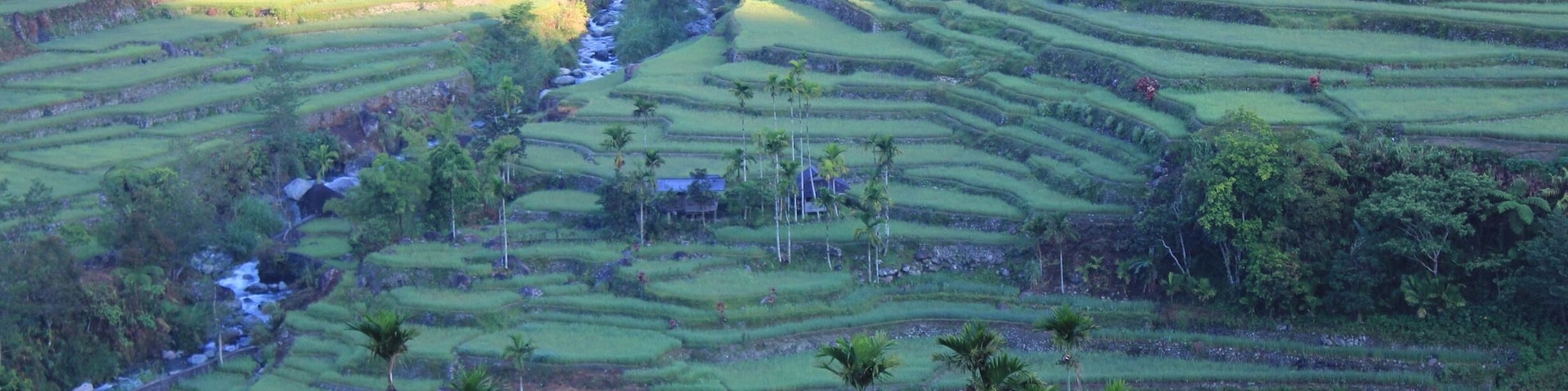 The rice terraces of Hungduan, IFUGAO