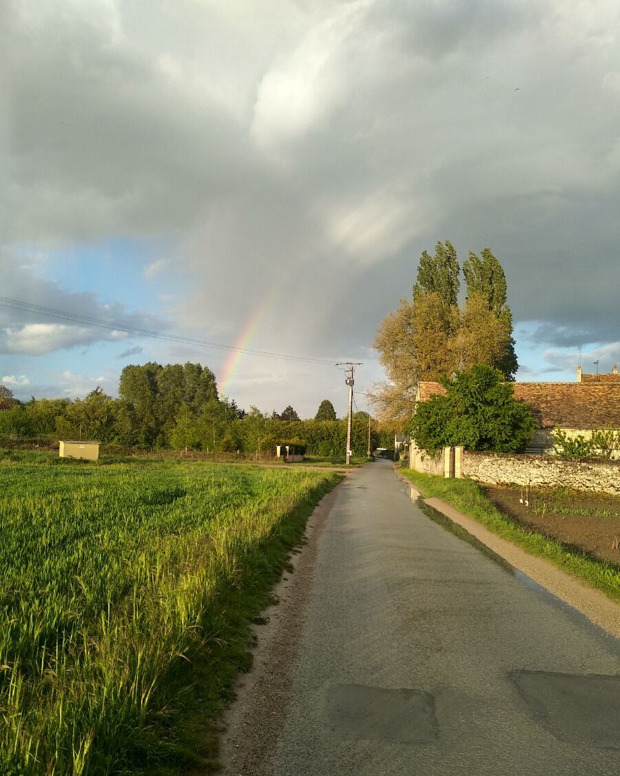 A rural road flanked by fields and trees, with a rainbow in the distance.