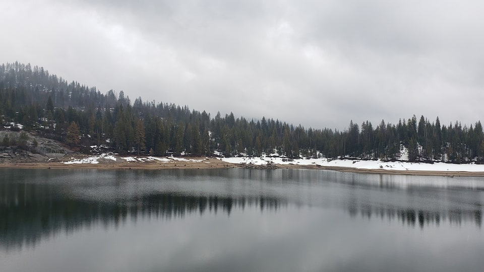 A calm lake surrounded by snow-covered ground and dense forest.
