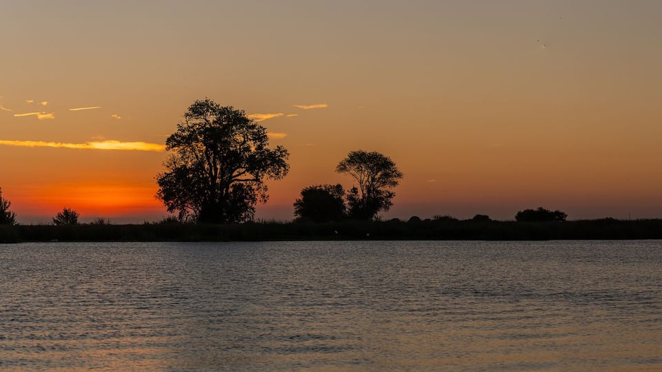 A sunset over a calm body of water with silhouettes of trees and a distant shoreline.