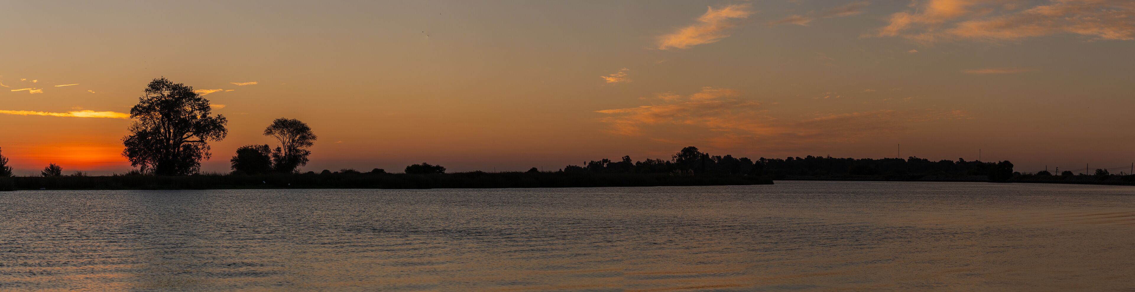A sunset over a calm body of water with silhouettes of trees and a distant shoreline.