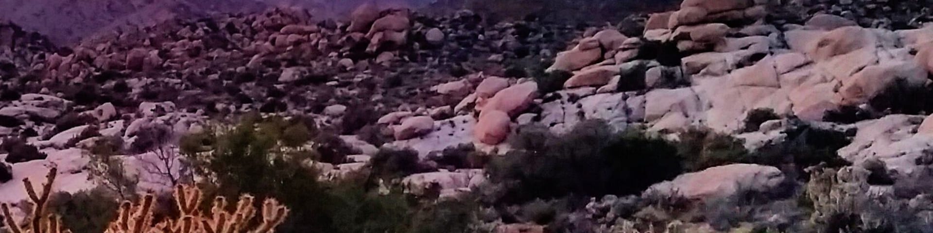 Spectacular sunset in March from the southernmost part of Anza-Borrego Desert State Park, overlooking Interstate 8 near Jacumba, CA.
#UStravel #hiking #goldenhour #sunset #mountains #nature #outdoors #cactus #colorful
