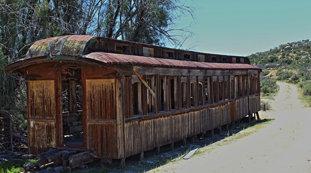 A deserted railroad station with several wooden rail cars as well as big rail cars from the 60's. A beautifully preserved station that seems to be in a time capsule.