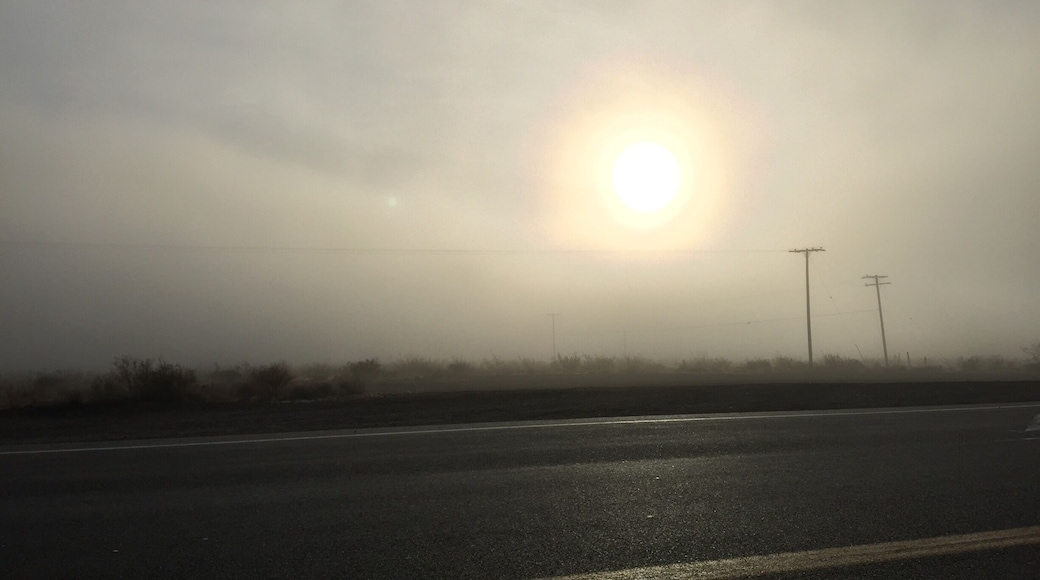 Some days are just like this. You can see the sun just past the fog so you know things will clear up soon enough so you can deal with the thick mess at hand.