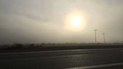 Some days are just like this. You can see the sun just past the fog so you know things will clear up soon enough so you can deal with the thick mess at hand.