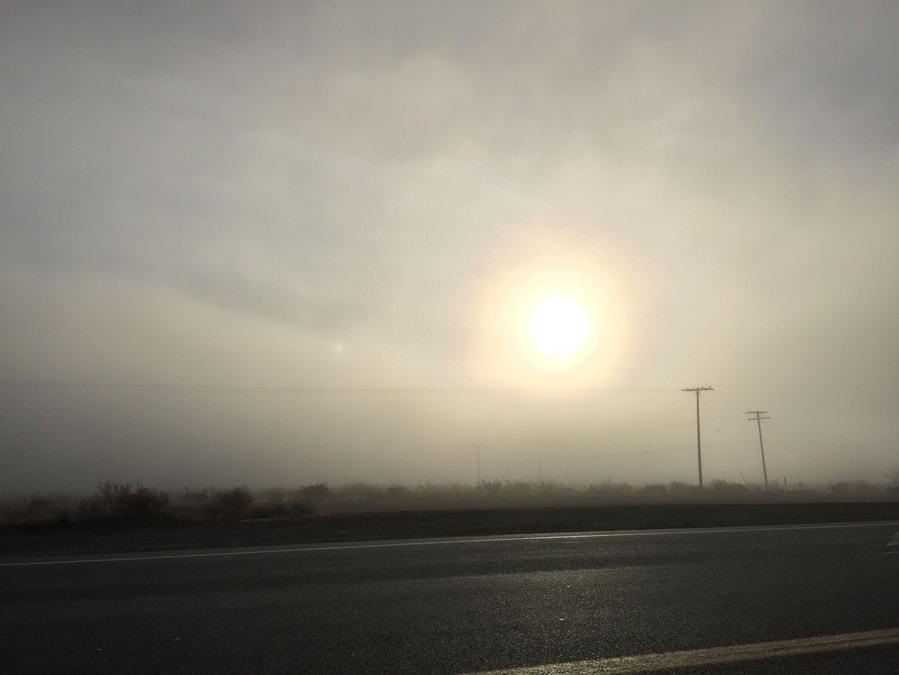 Some days are just like this. You can see the sun just past the fog so you know things will clear up soon enough so you can deal with the thick mess at hand.