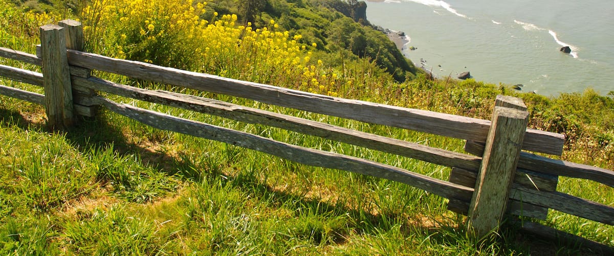 A coastal landscape with a wooden fence, lush greenery, yellow flowers, and a beach.