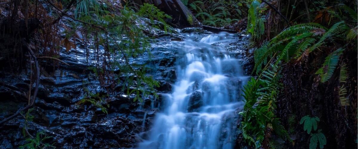 Tiptoe Falls - the waterfalls and not that impressive or big, but the trail was short (3/4 hours) and beautiful. I suggest to go and explore this area!