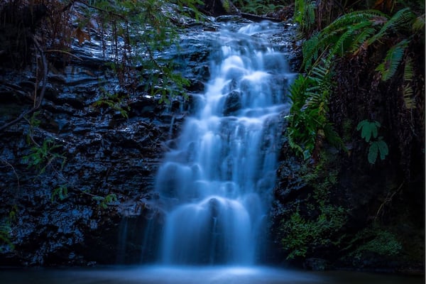 Tiptoe Falls - the waterfalls and not that impressive or big, but the trail was short (3/4 hours) and beautiful. I suggest to go and explore this area!