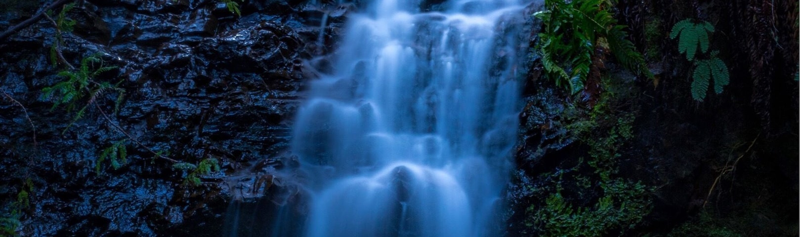 Tiptoe Falls - the waterfalls and not that impressive or big, but the trail was short (3/4 hours) and beautiful. I suggest to go and explore this area!