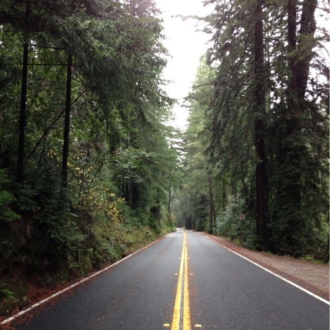 These roads are lined with forest. Such a nice drive.