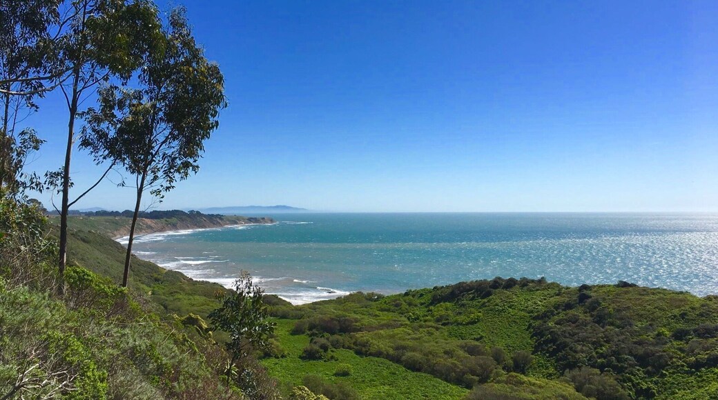 The trail over sees the coast the first 40minutes of the hike and then starts heading through the woods for another 40minutes before it hits a camp site. Can be dusty by the coast from wind. Beautiful hike and a bit vigorous since some parts are rocky. Well worth it!
