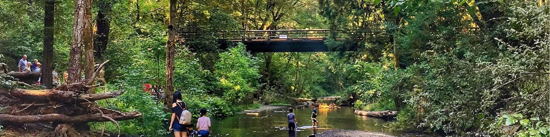 Beautiful place to have a picnic or go camping. Big redwood trees gives you a nice shade to block the sun and a creek perfect for kids in a hot summer days. #GreatOutdoors