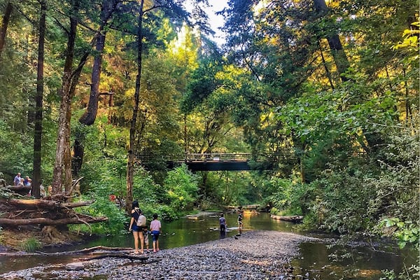 Beautiful place to have a picnic or go camping. Big redwood trees gives you a nice shade to block the sun and a creek perfect for kids in a hot summer days. #GreatOutdoors
