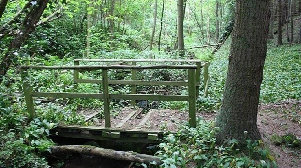 Tributary of Waren Burn This unnamed tributary of the Waren Burn is crossed via this slightly rickety footbridge by the Inn Way to Northumberland between Spindlestone and Bradford.