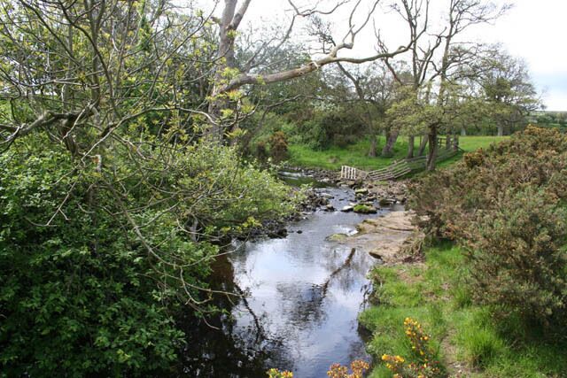 A small stream with a wooden bridge, surrounded by dense greenery and trees.