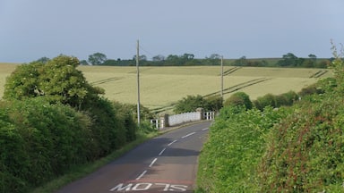 The B1340 through Lucker in Northumberland.