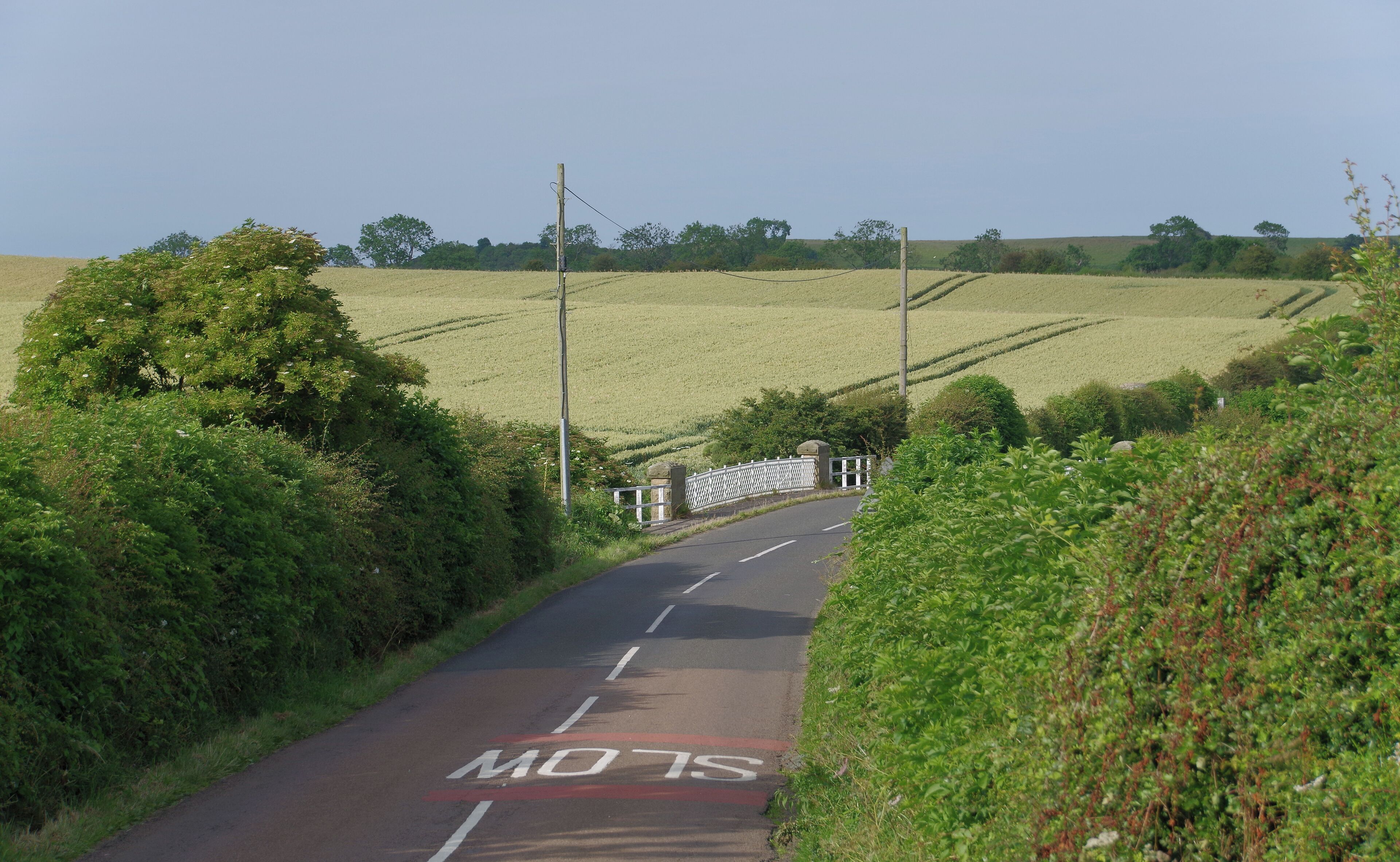 A rural road with a 'SLOW' marking, surrounded by lush greenery and fields.