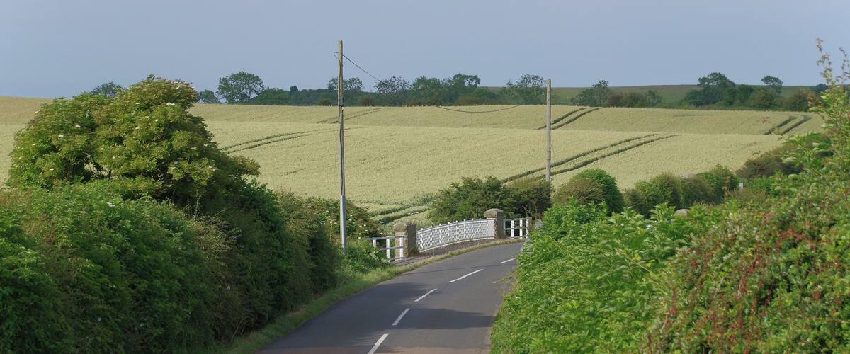 A rural road with a 'SLOW' marking, surrounded by lush greenery and fields.