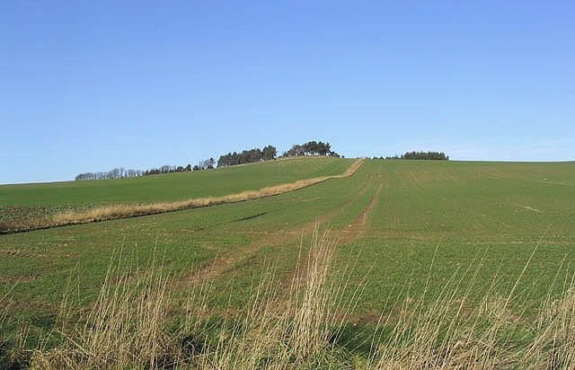 Arable fields To the east of Bellshill Farm with Law Plantation on the skyline.