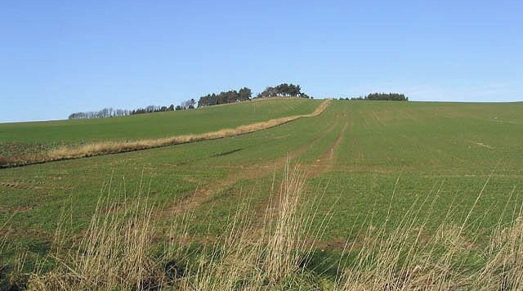 Arable fields To the east of Bellshill Farm with Law Plantation on the skyline.