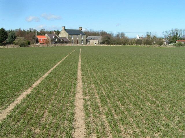 Warenford From a (badly-marked) footpath to the south-east. The white building whose chimneys can be seen to the right is the White Swan Inn.