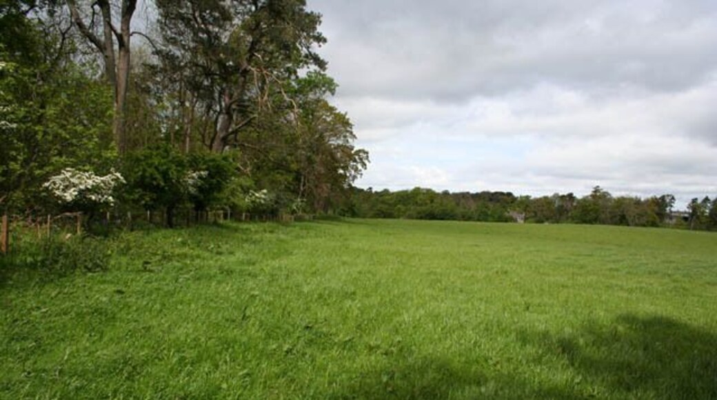 Towards Twizell On the path from Whinny Plantation.