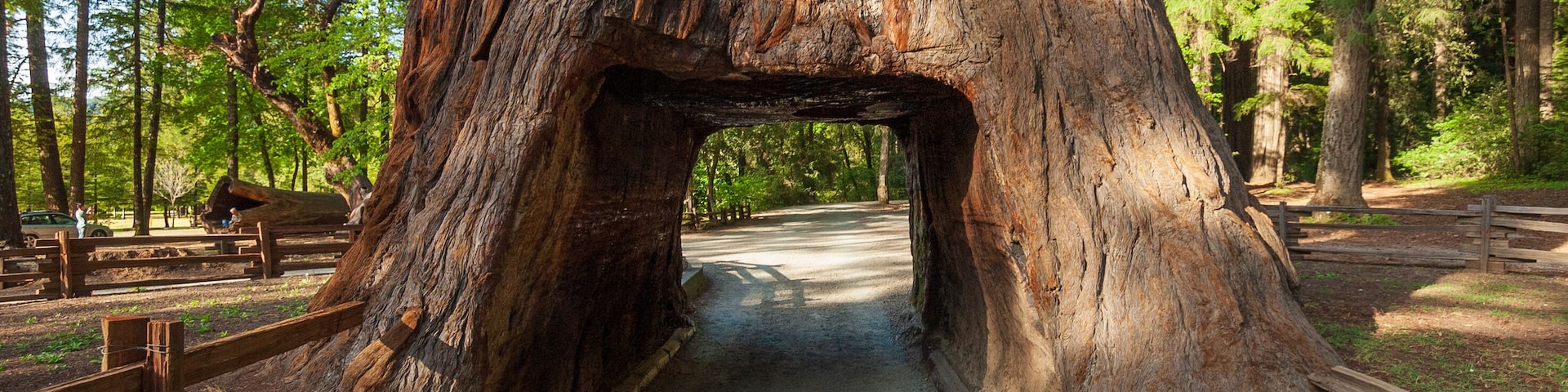 Tunnel Road at Chandelier, California