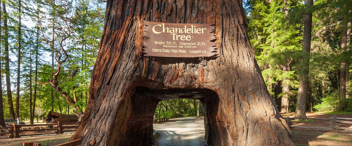 Tunnel Road at Chandelier, California