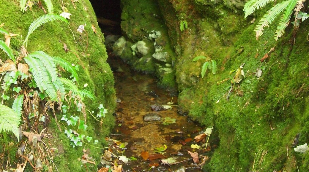 Adit, Devon United Mine
