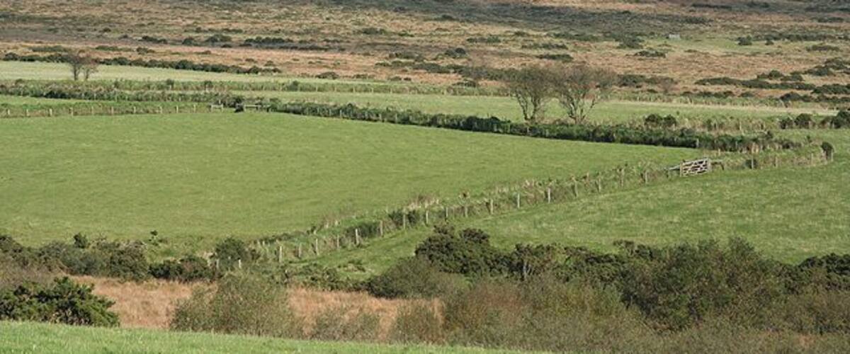 Lydford: by the Willsworthy Brook View towards Nat Tor