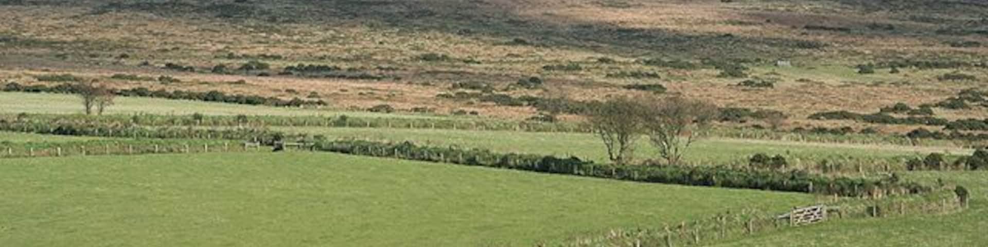 Lydford: by the Willsworthy Brook View towards Nat Tor