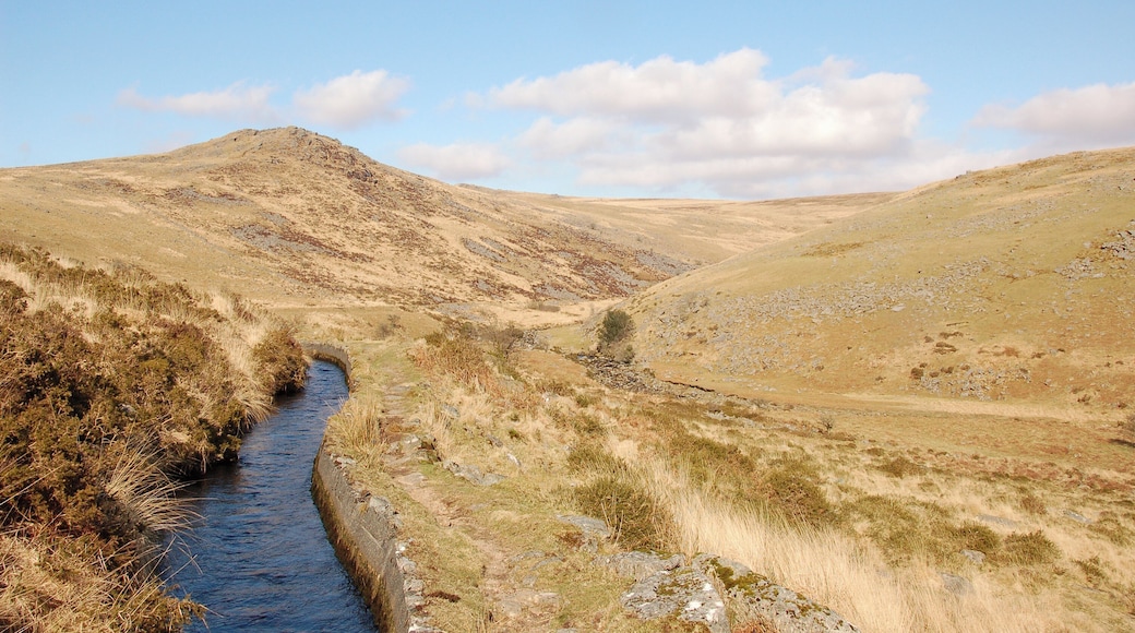 A still-flowing leat in the Tavy Cleave in western Dartmoor. The leat runs to Wheal Jewell reservoir.