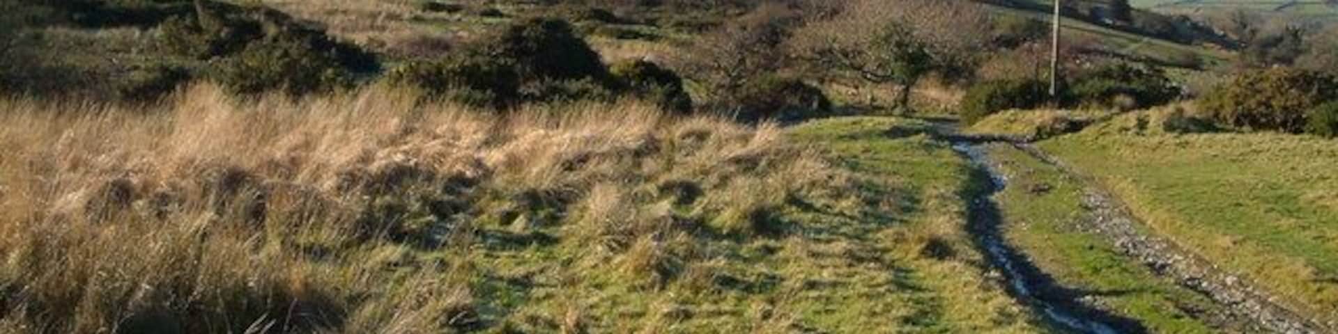 Peter Tavy Bridleway 26 The bridleway descends from the moor towards Cudlipptown.