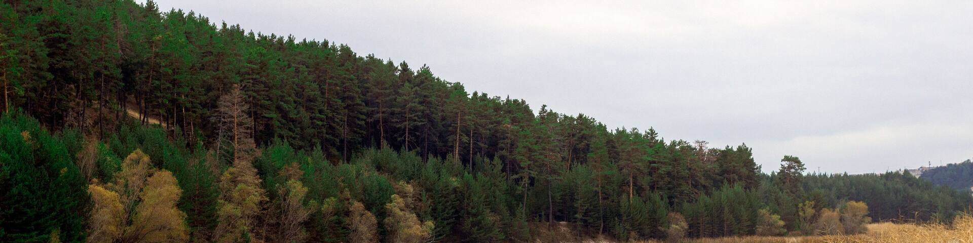 Beautiful lake view at the Çamkoru National Park in Turkey. Lake views in the autumn season.