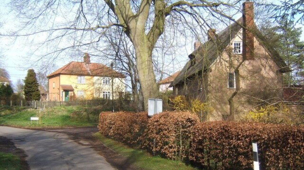 Looking up the lane north from Brent Eleigh