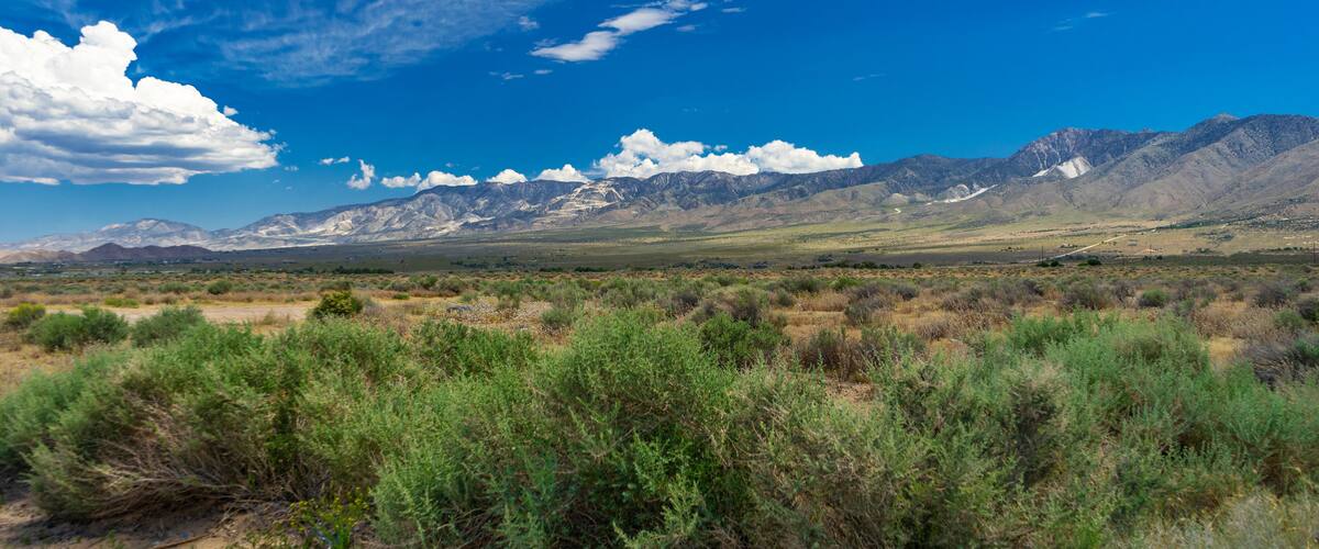 A desert landscape with green shrubs, mountains in the background, and a clear blue sky with clouds.