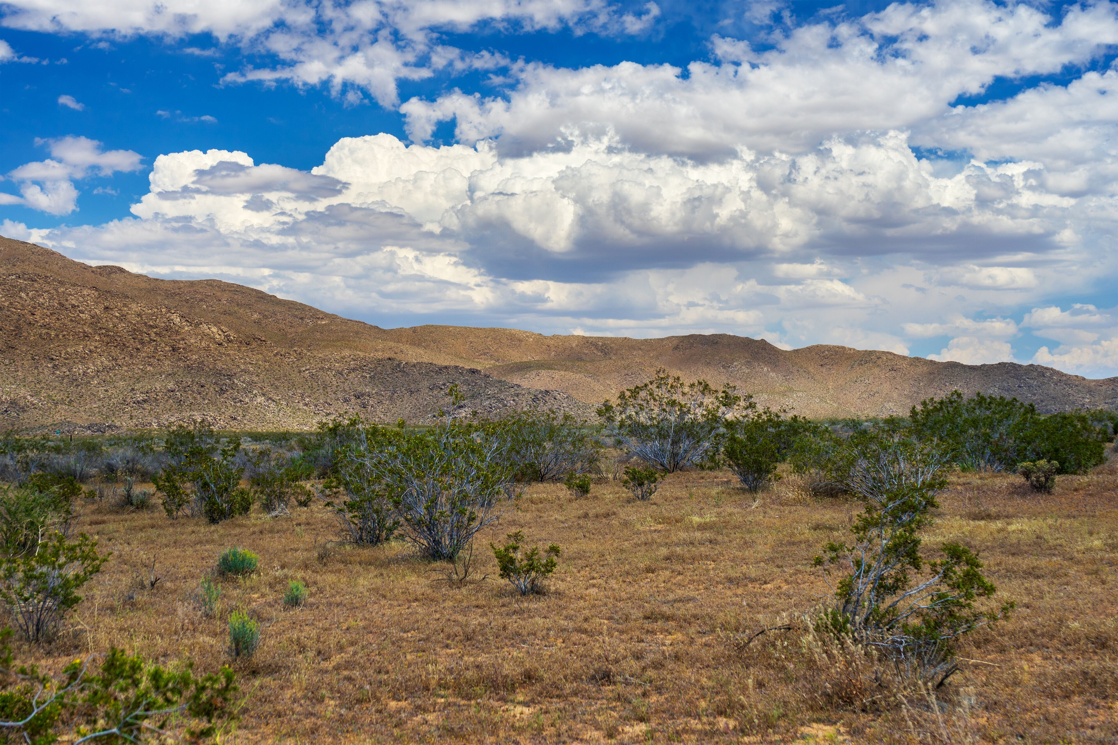 Lucerne Valley