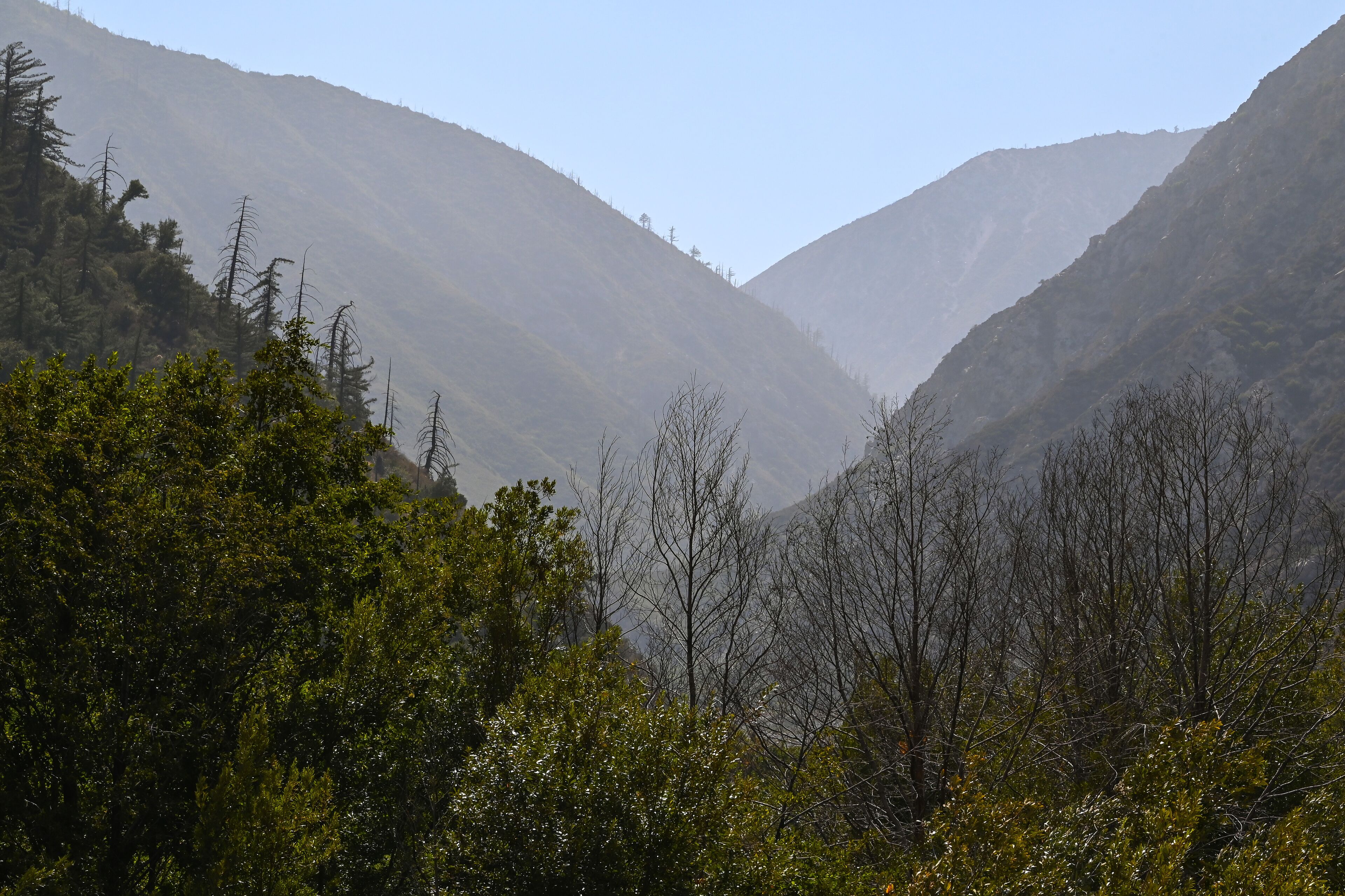 Mountains near Lytle Creek, San Bernardino National Forest