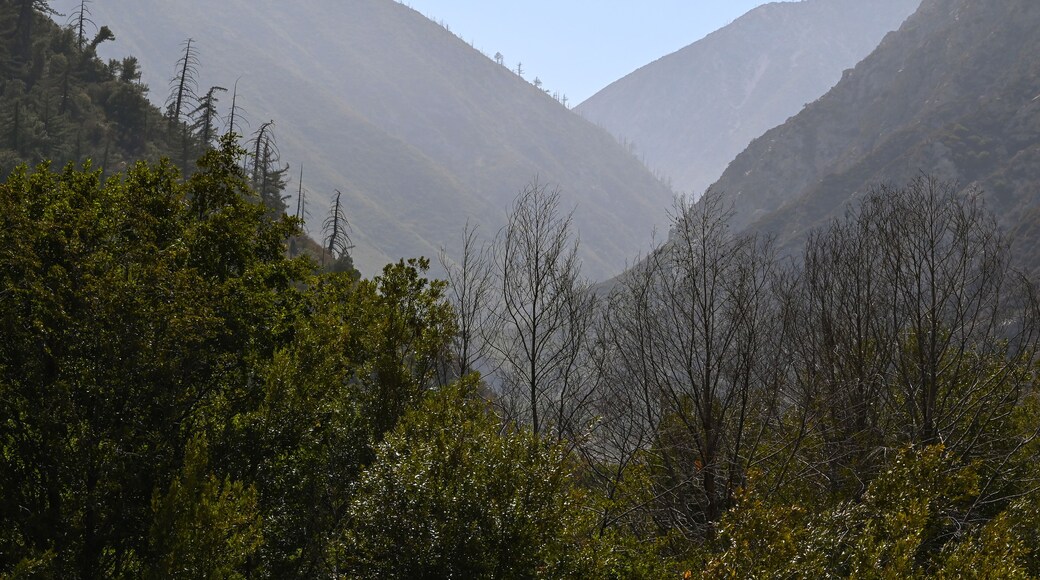 Mountains near Lytle Creek, San Bernardino National Forest
