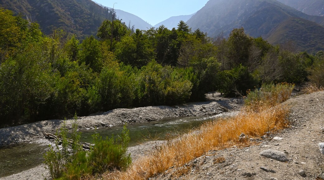 Lytle Creek, San Bernardino National Forest