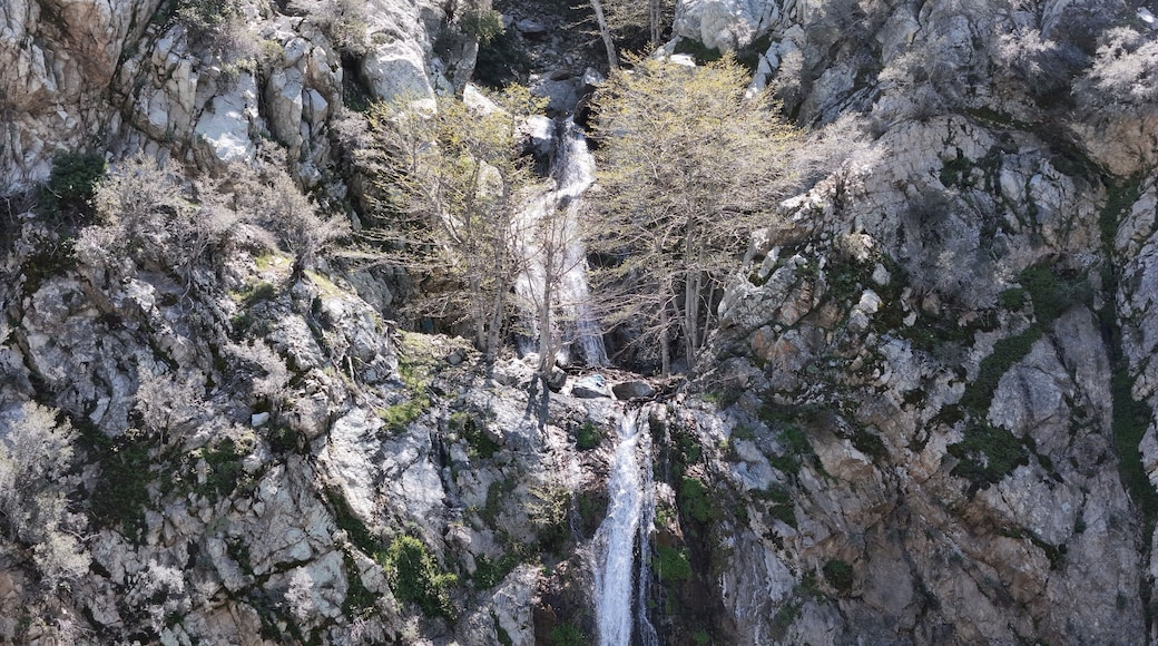 Bonita Falls, in Lytle Creek