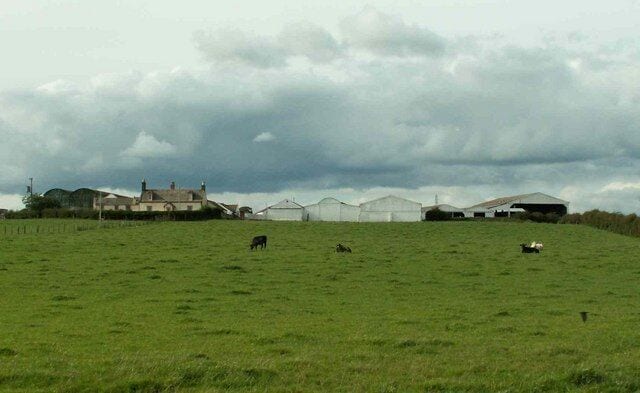 A green field with a farmhouse and greenhouses in the background.