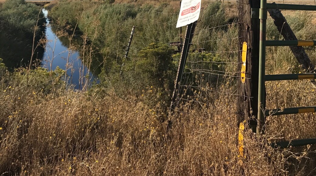 Right beyond the fairgrounds is the entrance to Big Lake and Ahjuwami Lava Springs 3 miles down this dirt road I love the quail on the post if you look closely at the picture