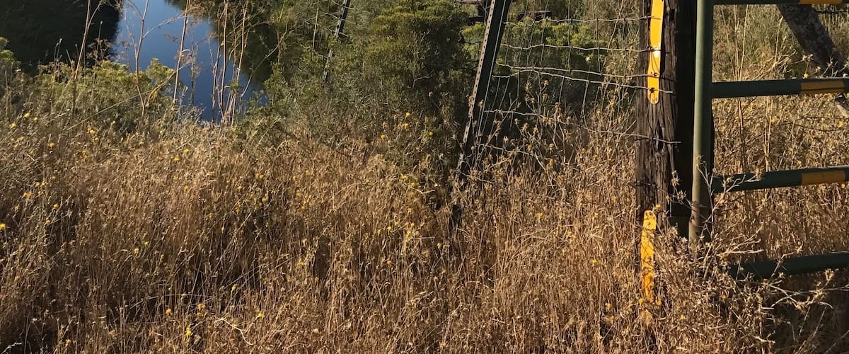 A rural landscape with a river, a warning sign, and a bird on a fence.