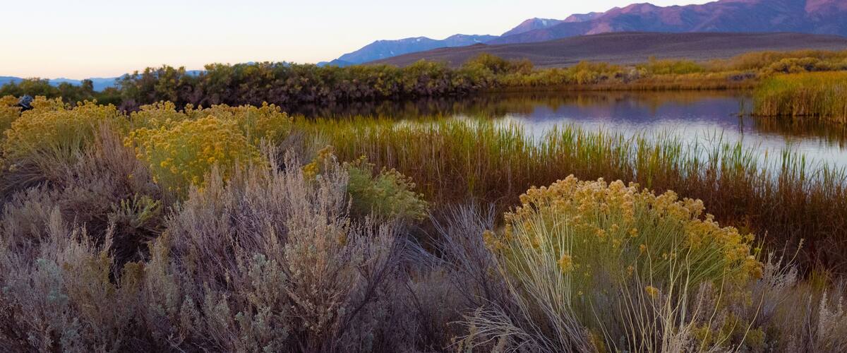 Thermal Pools Near Mono Lake at Sunrise
