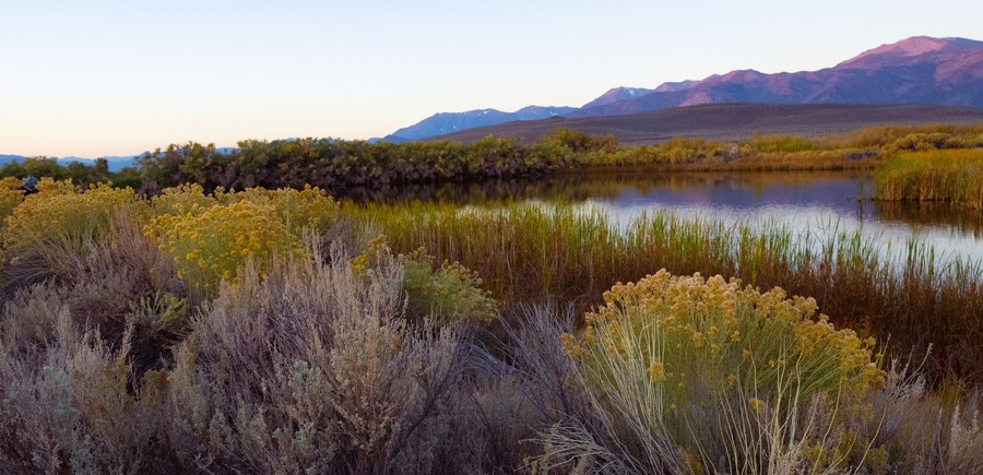 Thermal Pools Near Mono Lake at Sunrise
